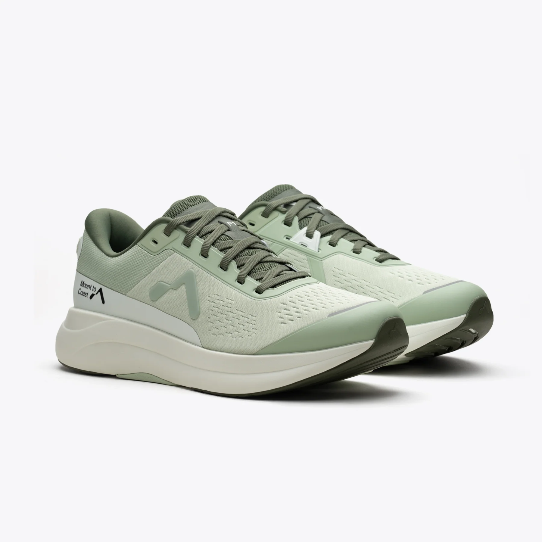 P1 Agave - Image 6